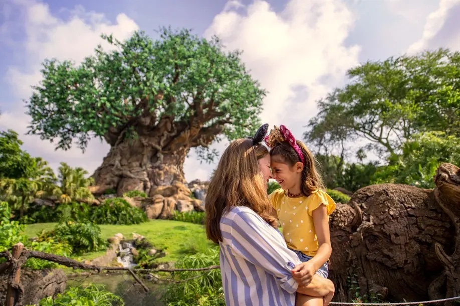 Animal Kingdom Árvore da Vida